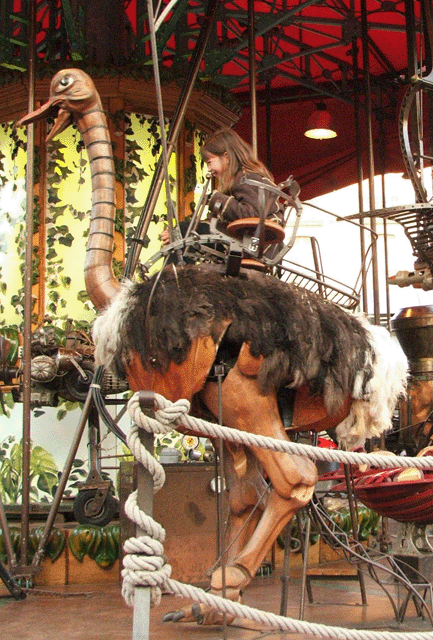 manege d'andrea autruche