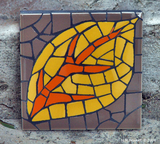 joint mosaique