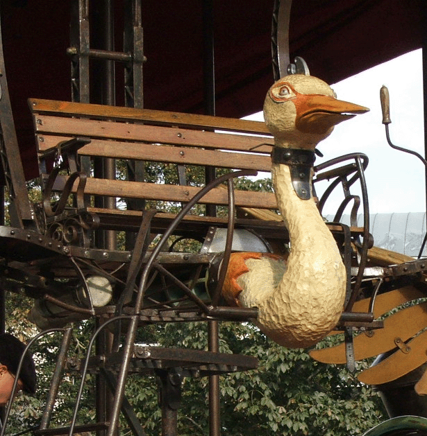 manege d'andrea oiseau